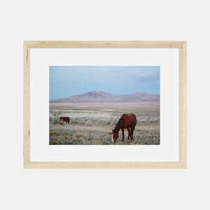 Photographic Print | Wild Horses by The Bee and The Fox