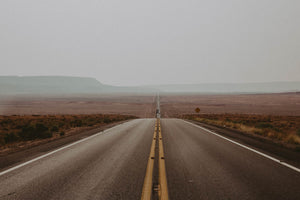 Photographic Print | Open Road by The Bee and The Fox