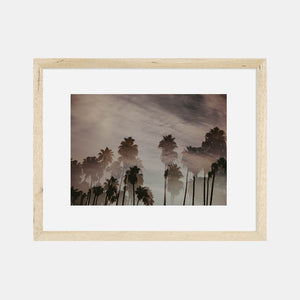 Photographic Print California Dreamin' by The Bee and The Fox