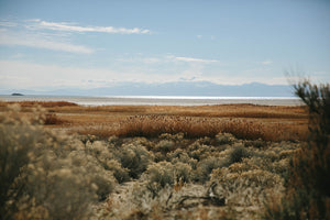 Antelope Island Photographic Print by The Bee and The Fox